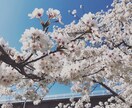 何でもお話聞きます 愚痴、自慢、暇つぶし何でもOKです! イメージ1