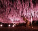 御相談愚痴聴きます希望でしたら遠隔ヒーリング付ます 子育て、恋愛、虐め、不倫、家庭環境等のお話しをどうぞ✨ イメージ1