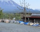 荒地の魔女の様に♡あなたの心の奥まで見抜きます 大手電話占い所属の鑑定師＊あなたの進み方を整理します❤️ イメージ13