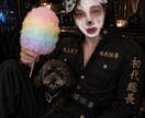 配信で目立つサムネデザインます 「配信サイトで埋もれないサムネ作ります【イベント特化】」 イメージ1