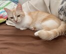 お話し相手になります 悩みや愚痴、暇つぶし等なんでも大丈夫です！ イメージ1