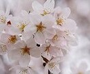 私って都合のいい女?テキストのやりとりで解決します 真剣な恋も遊びも経験豊富なぼくに気持ちをぶつけてください! イメージ2