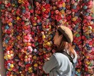 神戸〜姫路で自然な写真を撮影します 45分3,000円で自然な一枚を撮影 イメージ7