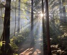 西洋占星術で今世の課題、恋愛、仕事について占います 金運や天職、運命の相手の特徴や出会える場所、今世の課題 イメージ2