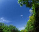真剣にあなたのお話を聞きます 悩み、愚痴、心に引っかかったことなど、真剣にお話を聞きます イメージ1