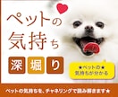 ペットの【気持ち】心理の裏まで深堀りして占います ☆大手の電話占い会社所属鑑定士が、あなたの心を軽くします☆ イメージ1