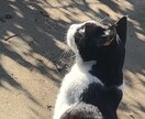 面倒な文字入力のお手伝いをします 正確かつ迅速に対応させて頂きます イメージ1