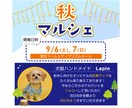 選ぶだけ！プロがインスタ投稿画像デザインします テンプレート選択式ではじめての方も簡単注文！ イメージ7