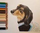 色鉛筆画(キャラクター、動物、風景）を描きます 120色の色鉛筆を駆使して描きます。 イメージ5