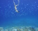宮古島で応援ナースしたい人の相談にのります 現在宮古島徳洲会病院で勤務中☆現場の声をお聞かせします！ イメージ4