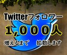 ツイッターフォロワー500人～増えるまで拡散します 5日間保証付！複数購入も可能です！オプションでお得に購入も可 イメージ1