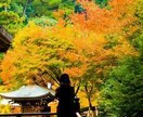 友達感覚・擬似彼氏✨️あなたの求める人になります 長文もOK！電話はちょっと…文字の方が楽！という方はぜひ！ イメージ5