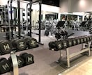 初心者向け！トレーニングメニュー作成します 経験豊富なプロのトレーナーがあなただけのメニューを作成します イメージ2