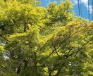 話すだけで楽になります！1分からでもお話し聴きます 職場、家族、友人関係にちょっと疲れた方 イメージ2