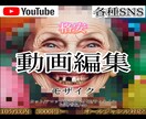 モザイク加工します シンプルに格安で動画編集、モザイク処理を行います！ イメージ1