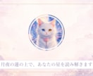 白猫シフォンの月占いであなたの星を紐解きます 月夜の蓮の上で、あなたの星をやさしく紐解きます イメージ1