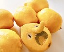 素早く質の高い！記念になる一枚を作ります ここでしか作れない、いつ見てもいい思い出を イメージ4