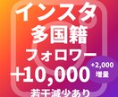 インスタグラム多国籍フォロワー増加サポートします 多国籍フォロワー１万人（減少見込み2000増量）増加させます イメージ1