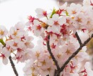 辛い・苦しい・悲しい・全て真剣にお聴きしますます 不安や恐怖・ 一人で悩まないで一緒に考えます イメージ3