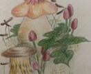 手書きイラストを描きます 色鉛筆を使った優しいイラストが得意です！ イメージ1