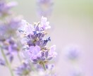 心をそっと包む《癒しの電話》優しく話を聴きます ただ「聴いてほしい」…その想いに、心から寄り添います。 イメージ1