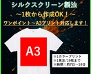 Tシャツプリント　1枚からできます シルクスクリーン製法で作成いたします！お気軽価格！ イメージ1