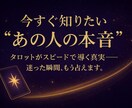 将来への不安や期待に、迅速丁寧にお答えします 結婚の時期は？運命の人はどんな人？に２４時間以内に回答 イメージ1