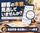 SNSコメントから顧客の本音や不満を調査します YouTube・TikTokの声を商品改善のヒントに イメージ1