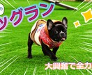 動画編集承ります 早くて安いをモットーに動画編集作業行います。 イメージ4