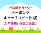 プロがネーミングやキャッチコピーを複数ご提案します ネーミング、キャッチコピー作成、タイトル、キャッチフレーズ等 イメージ1