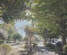 自然の写真を提供いたします 旅行先で撮った写真を提供いたします。 イメージ1