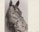 A4サイズ／色鉛筆画を制作いたします ご一緒に大切な思い出を作りませんか？ イメージ8