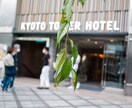 普通のエッセイが読みたいなら、他へお願いします 幅広い知見と独創的な視点を活かし、唯一無二の記事を執筆。 イメージ1
