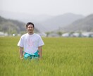 野菜栽培、家庭菜園、農業の悩み解決します 芽が出ない、実がつかない、成長しない、若手農家の知識かします イメージ1