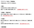 イラストからぬいぐるみ作ります あなただけのオリジナルのぬいぐるみをお届け！ イメージ9