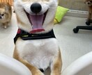 旦那上司友達からの愚痴相談ききます 誰にも言えない本音を出すだけで頭の中は驚くほど整理されます。 イメージ3