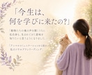 ソウルプランリーディングで魂の計画を読み解きます 自分の才能に気付いていますか？ イメージ3