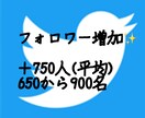 Twitterで700RT以上拡散します 企業様、個人様の商品宣伝に(全て日本人が拡散します) イメージ2