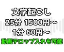 動画、音声の文字起こしやります テキストに文字起こし、動画のテロップ入れも可能！ イメージ1