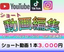 YouTube・SNS向けショート動画制作します YouTube・SNS向けショート動画制作をおまかせください イメージ1