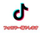 TikTok フォロワー +1000増やします ティックトックのフォロワー数を安心・安全に増加します イメージ1