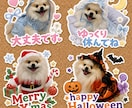 ペットの写真から小物付きの可愛いスタンプ作ります ペット写真から作る愛らしくらぶりぃで可愛いＬＩＮＥスタンプ イメージ3