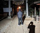 恋愛霊総合占いにて問題に対して適切な助言致します ツインレイ・の判定・現在～将来の事・彼の気持ち等お答えします イメージ4