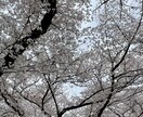 親身になってお聞きます 1人で抱え込まずにあなたに寄り添います イメージ1