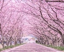 復縁特化☆相手の本音・未来・可能性を♡深掘りします タロット☆オラクル☆占星術☆数秘☆カラー♡復縁の行方♡今後♡ イメージ9
