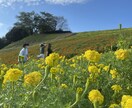 静岡/山梨/関東 日帰り~GW 旅行プラン作ります 都内含めガイドブックにはない情報で、貴方好みにご提案 イメージ3