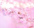 占いであなたのお悩み解決します タロットとオラクルカードの力であなたのお悩みを解決♡♡ イメージ1