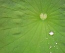 あなたのお悩みが楽になるようにサポートします 。どんなことでも話してくださいね。 イメージ1