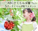 ご相談ください！目の引くバナー広告作成いたします バナー広告画像にお困りの方用途にあった画像を作成します イメージ3