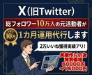 総フォロワー10万人の活動者がSNS運用代行します 【実績作りの為３枠のみ特別価格！】 イメージ1